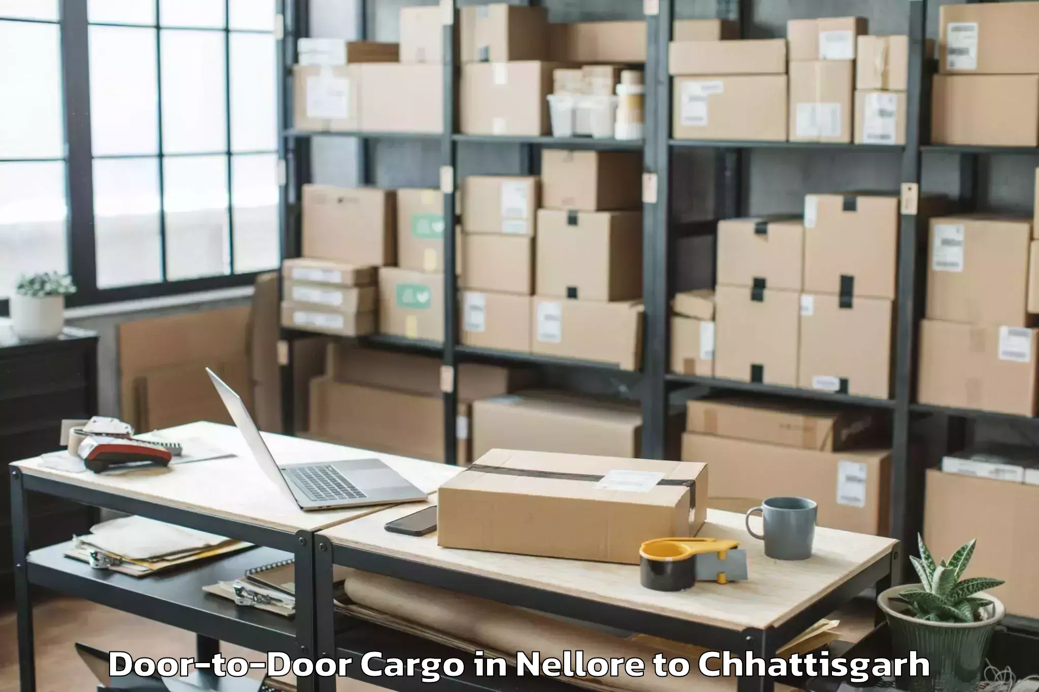 Top Nellore to Op Jindal University Raigarh Door To Door Cargo Available